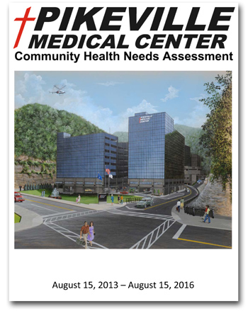 Cover image and link to the 2013 Health Needs Assessment PDF